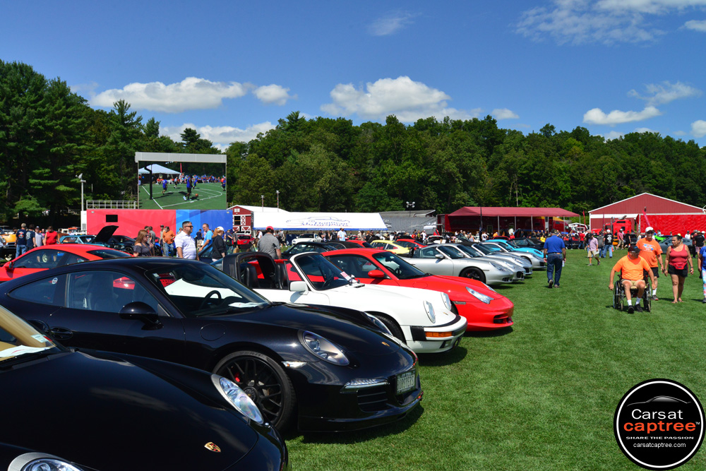 D8E_7120 copy.jpg D8E_7120 copy.jpg
